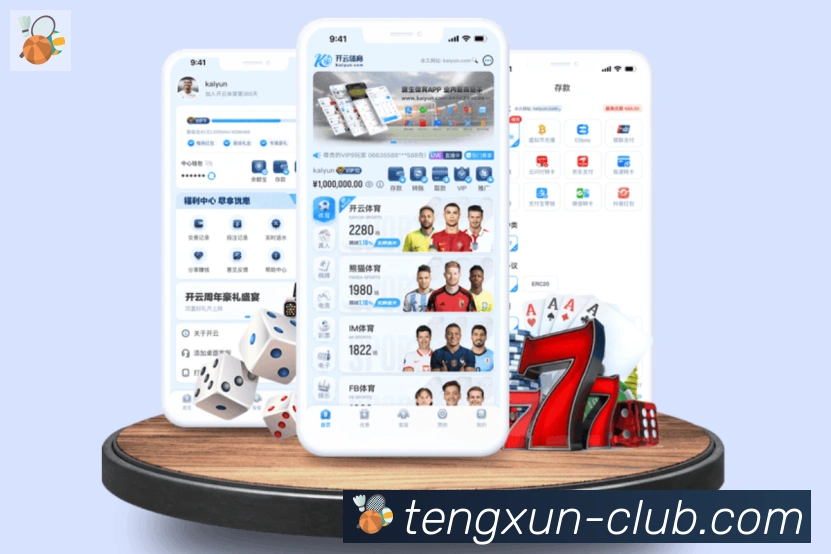 未来规划